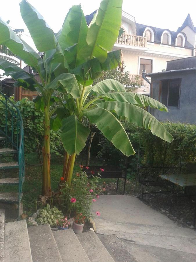 Guesthouse On Kabardinskaya 139A Gagra Exterior foto